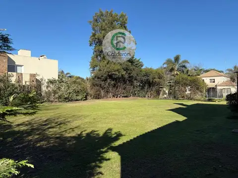 Carola Lorenzini 4900