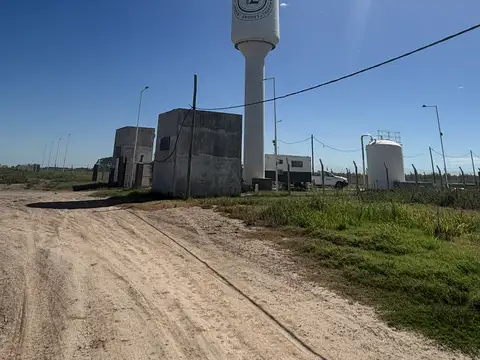 LOTE 7 LEGUAS RICARDONE