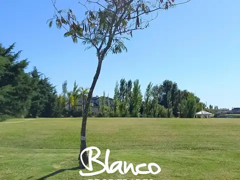 SAN MARCO - VILLANUEVA -