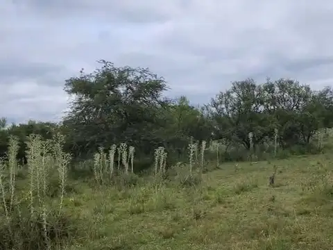 Campo 14 hec ganadero-recreativo Pblo. Libertador Corrientes