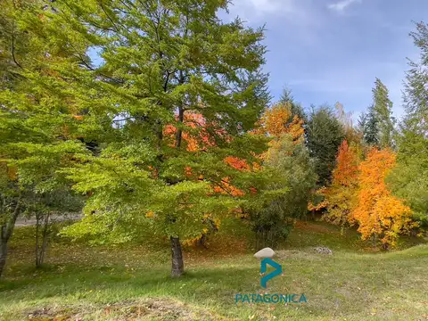 VENTA LOTE 2.300m2 B° CERRADO CAREN HUE, VILLA LA ANGOSTURA