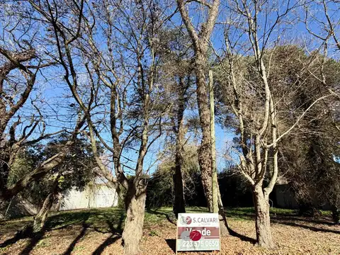 Terreno en Grosellar