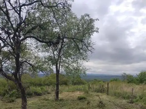 Terreno en Venta de 360,0 m2