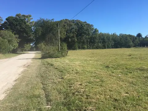 Terreno en Venta de 705,0 m2
