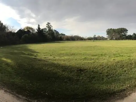 San Martin/Gorriti y Obligado