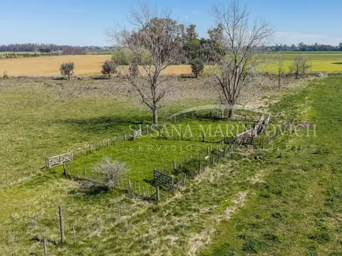 Campo de 44ha en Cucullu San Andres de Giles