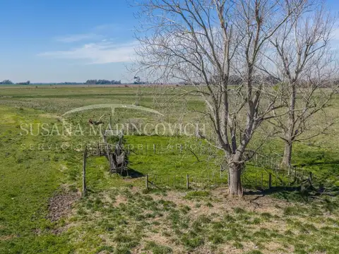 Campo de 44ha en Cucullu San Andres de Giles