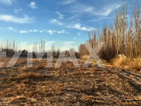 ALQUILER CHACRA  CIPOLLETTI