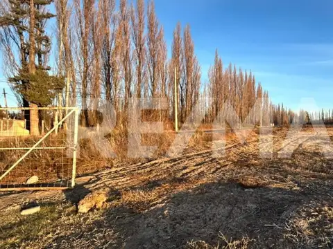 ALQUILER CHACRA  CIPOLLETTI