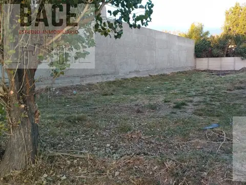 Terreno en Venta 37  mts Fondo