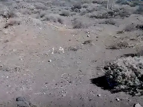 VENTA LOTE SAN RAFAEL EL NIHUIL