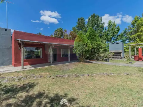 Venta CAMPO 29ha 2 CASAS en Est. Pedrera Ruta 88