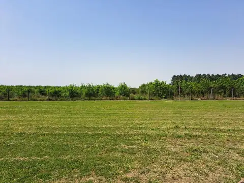 Terreno en Venta de 577,0 m2