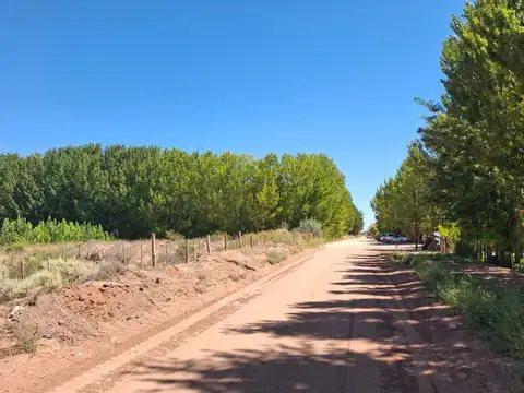 Pje. Puyehue 100