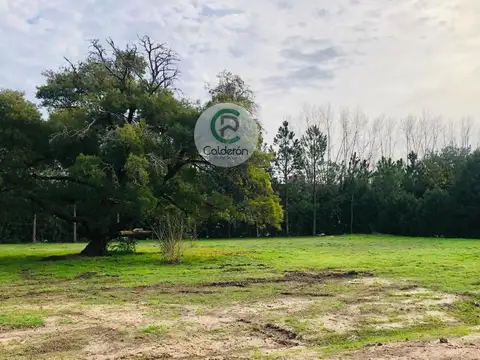 Colectora Norte Km 42