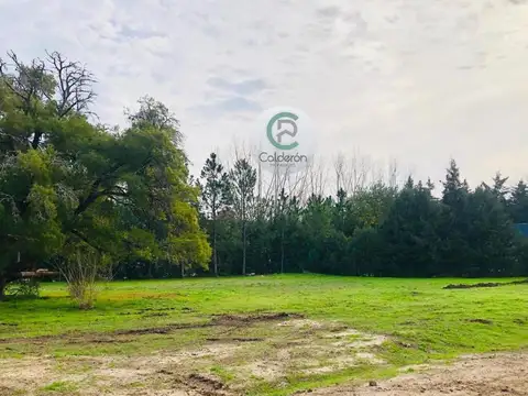 Terreno en Venta de 1500,0 m2
