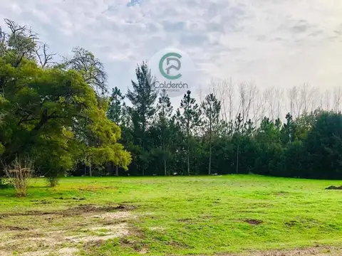 Colectora Norte Km 42