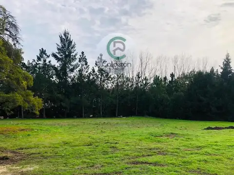 Terreno Lote en Venta Country San Diego