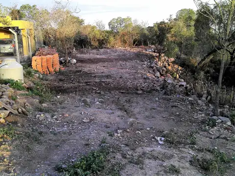 Ricardo Barlasina 100