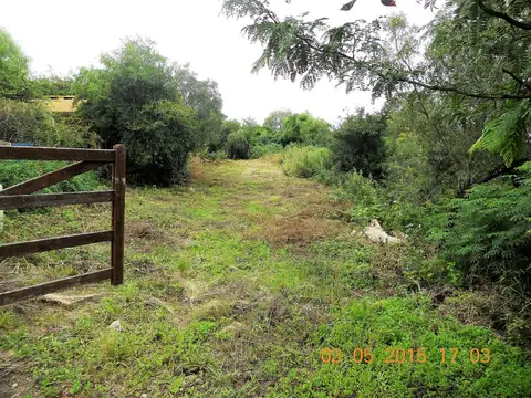 Ricardo Barlasina 100