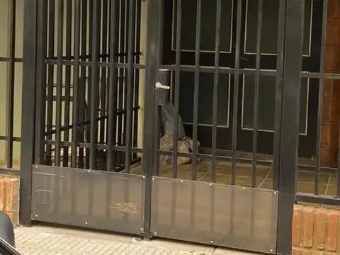 Depósito  en Alquiler en Barrio Norte, Capital Federal, Buenos Aires