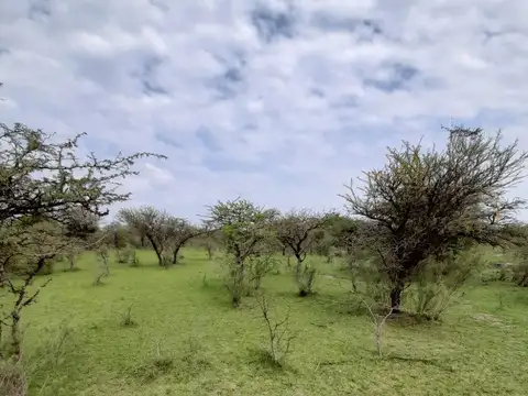 Terreno en Venta de 16762,0 m2