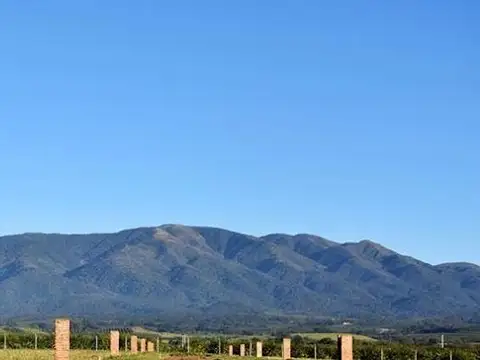 Country El Mirador