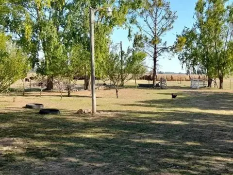 VENTA DE EXELENTE CAMPO 186 HAS EN MARCOS PAZ  BS AS