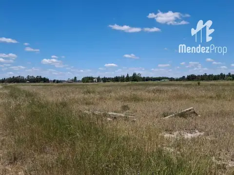 VENTA DE DOS LOTES DE 26223 M2 CADA UNO