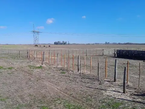 Campo en Venta de 46  ha