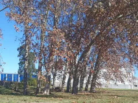 Ruta Provincial Nº 24 al 300 100