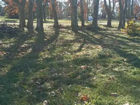 Ruta Provincial Nº 24 al 300 100