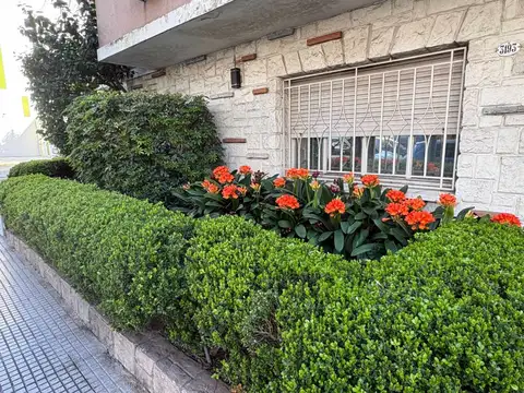 La Pampa 3100