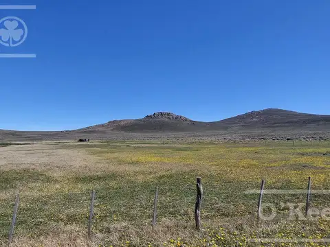 Campo en venta de 4394 has Las Bayas, Rio Negro