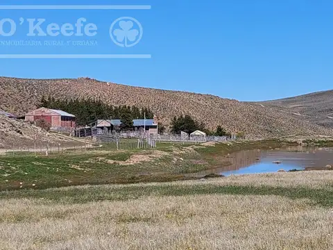 Campo en venta de 4394 has Comallo, Rio Negro