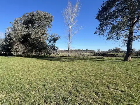 Terrenos de 274m2 a la venta en Cañuelas