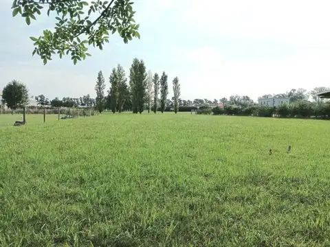 VENTA GRAN LOTE TERRENO BC LOS PALENQUES 1198M2