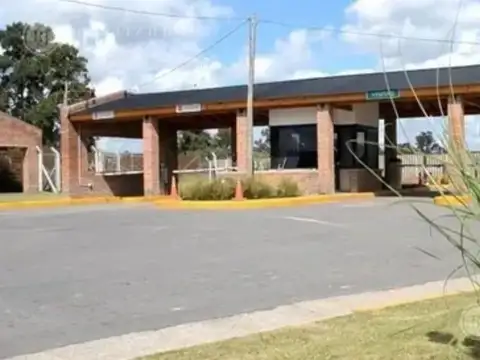 San Pablo 100