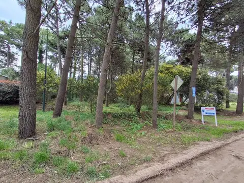 Boulevard Eros entre Nereidas y Pasaje Peatonal