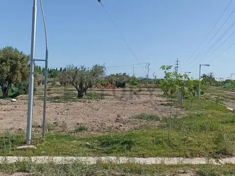 Terreno en Venta de 325,0 m2