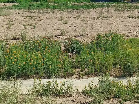 Terreno en Venta en Maipu, USD 13.000