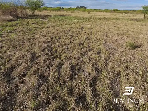Portreros de 100