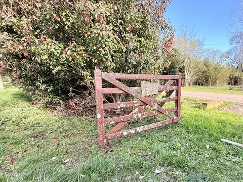 Terreno en Venta de 1571,0 m2