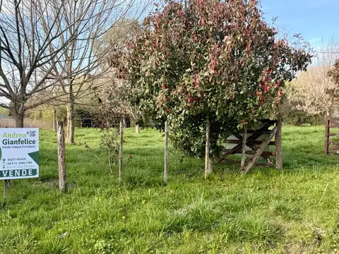 Terreno en Venta en Laguna de Lobos, USD 34.500