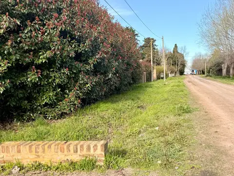 Calle 31 entre calle 3 y 4 al 200