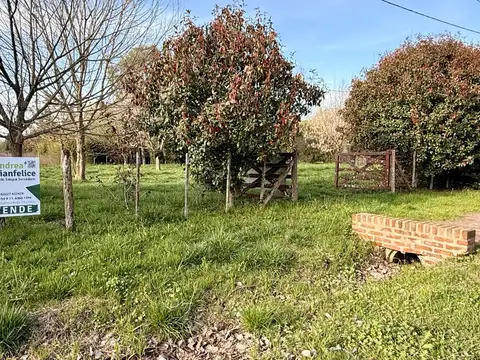 Un pedacito de naturaleza para hacer tuyo en la Laguna de Lobos