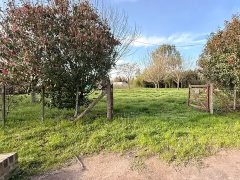 Terreno en Venta 40  mts Fondo