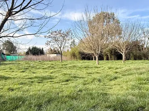 Un pedacito de naturaleza para hacer tuyo en la Laguna de Lobos