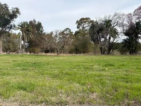 TERRENO EN DESVIO ARIJON-