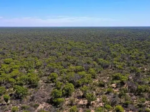 CAMPO EN VENTA PUNTA CORRAL - SANTIAGO DEL ESTERO